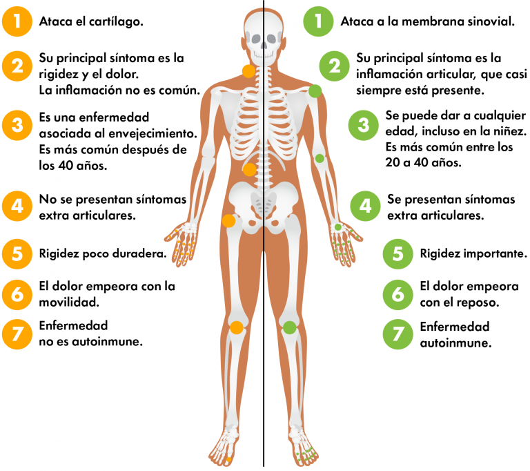 Artritis Y Artrosis Pharmalat